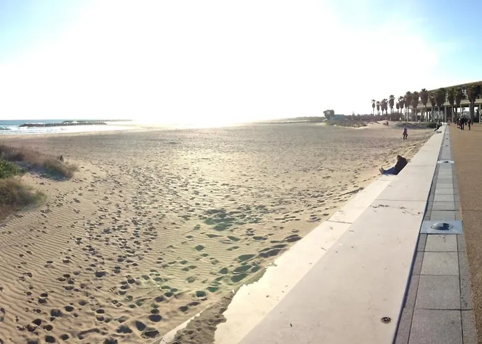 Apartment Joli 2 Pieces Avec Jardinet, Parking Prive, A 100m De La - - Fr-1-338-540 Sete